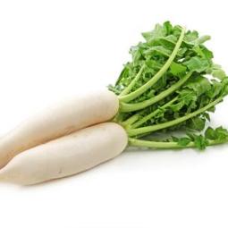 daikon-radish